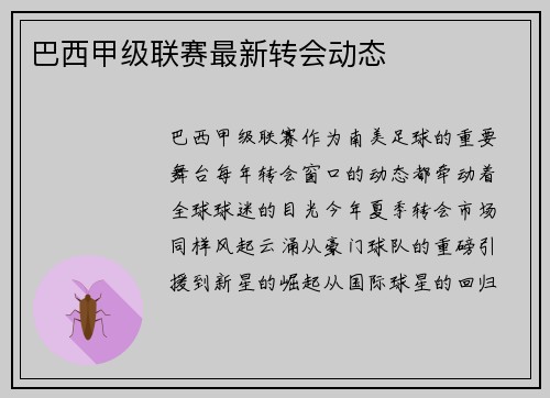 巴西甲级联赛最新转会动态