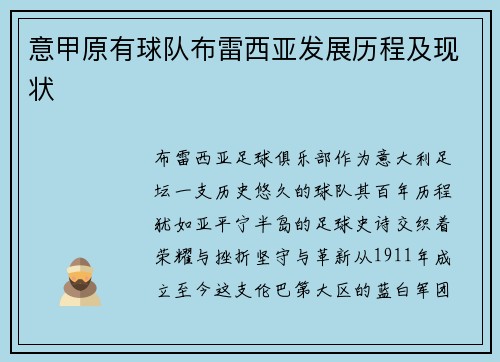意甲原有球队布雷西亚发展历程及现状