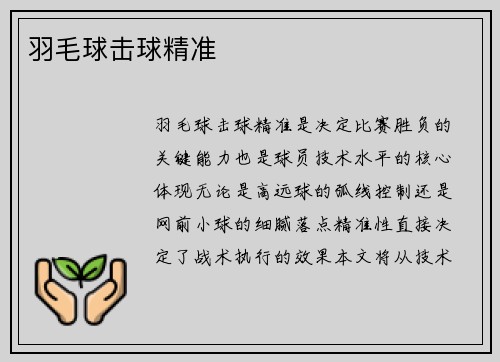 羽毛球击球精准